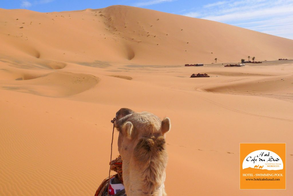 CAMEL TREKKING MOROCCO