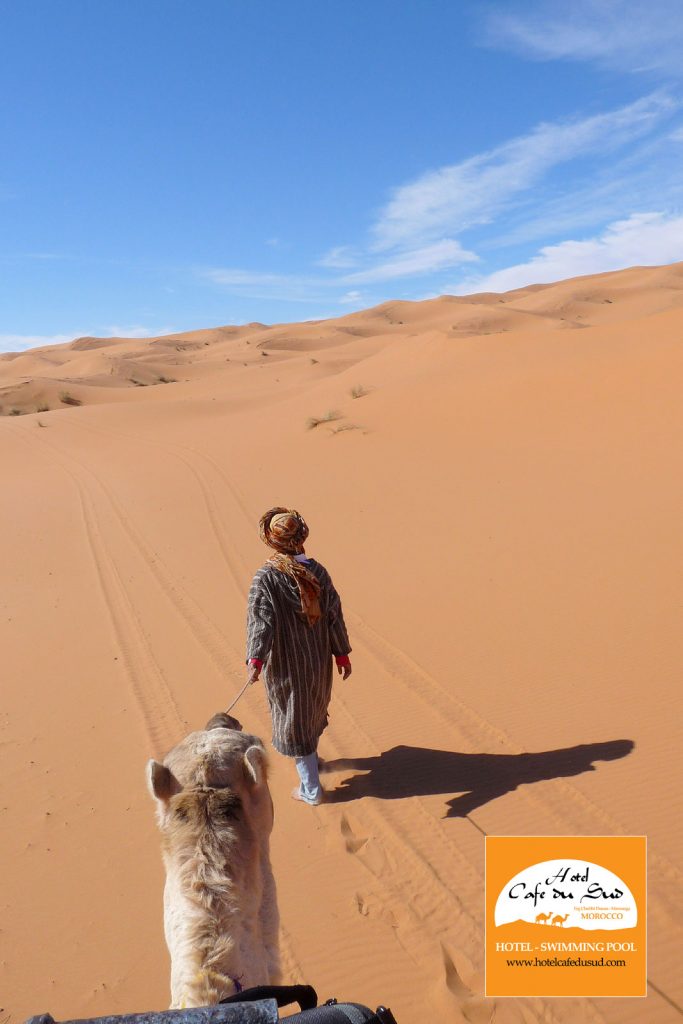 CAMEL TREKKING MERZOUGA