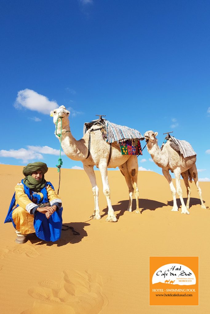 CAMEL TREKKING MOROCCO