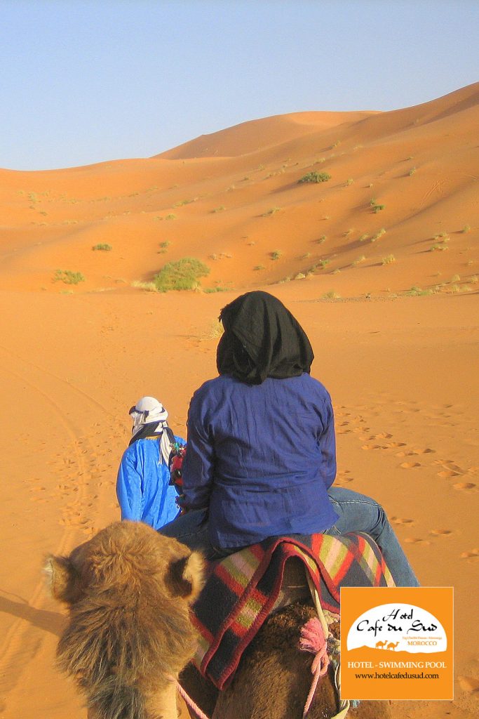 CAMEL TREKKING MOROCCO